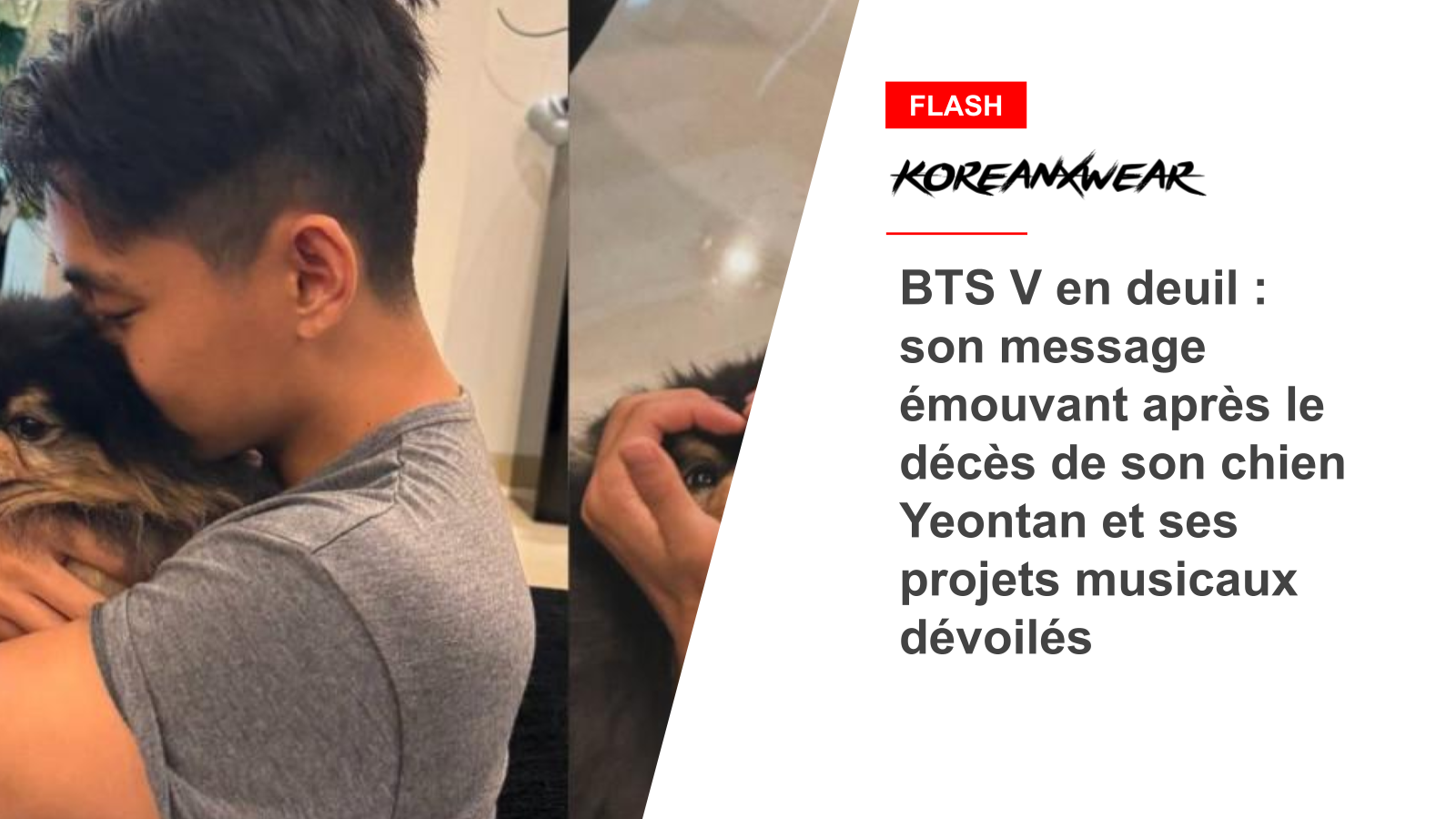 BTS V en deuil : son message émouvant après le décès de son chien Yeontan et ses projets musicaux dévoilés