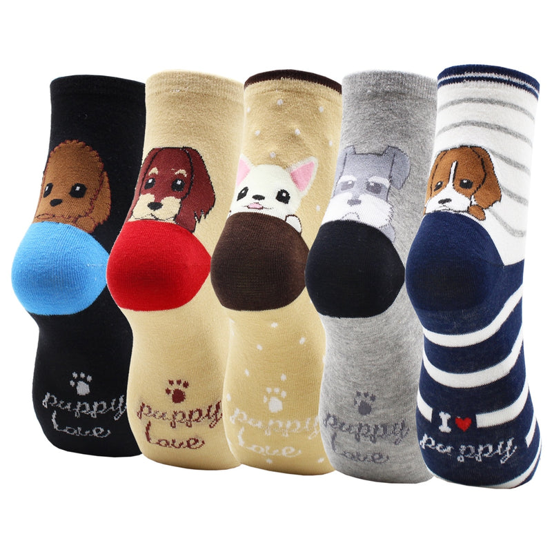 Lot de 5 paires de chaussettes amusantes - KoreanxWear