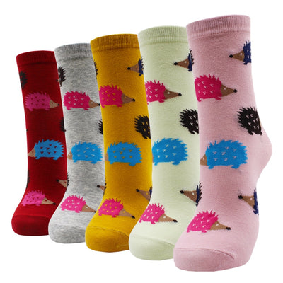 Lot de 5 paires de chaussettes amusantes - KoreanxWear