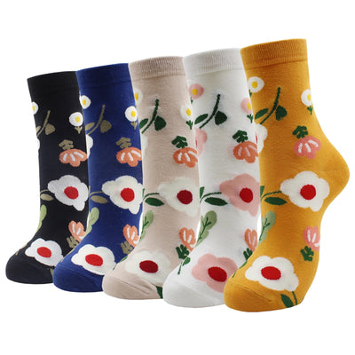 Lot de 5 paires de chaussettes amusantes - KoreanxWear