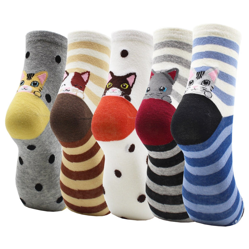 Lot de 5 paires de chaussettes amusantes - KoreanxWear