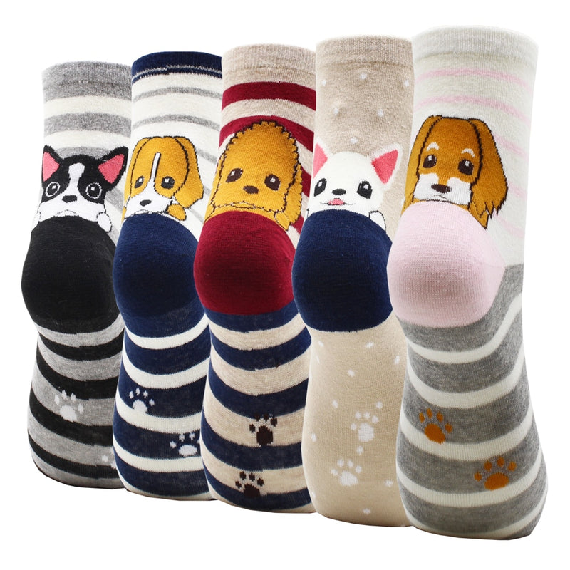 Lot de 5 paires de chaussettes amusantes - KoreanxWear