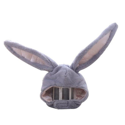 Bonnet Oreilles de Lapin - KoreanxWear