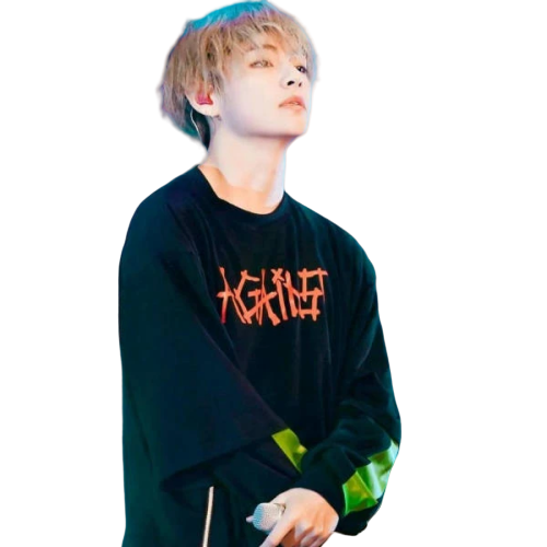 T Shirt Taehyung